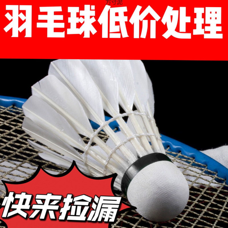 Badminton Resistant 12 Goose Feathers Windproof Competition Set Learning Students Only Training Outdoor Factory Cross-border Wholesale