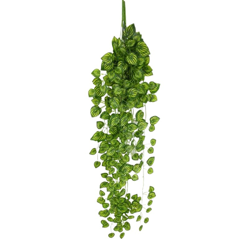 Simulated Green Radish Spider Orchid Wall Hanging Decoration Simulated Rattan Evergreen Begonia Green Plant Wall Hanging Green Radish