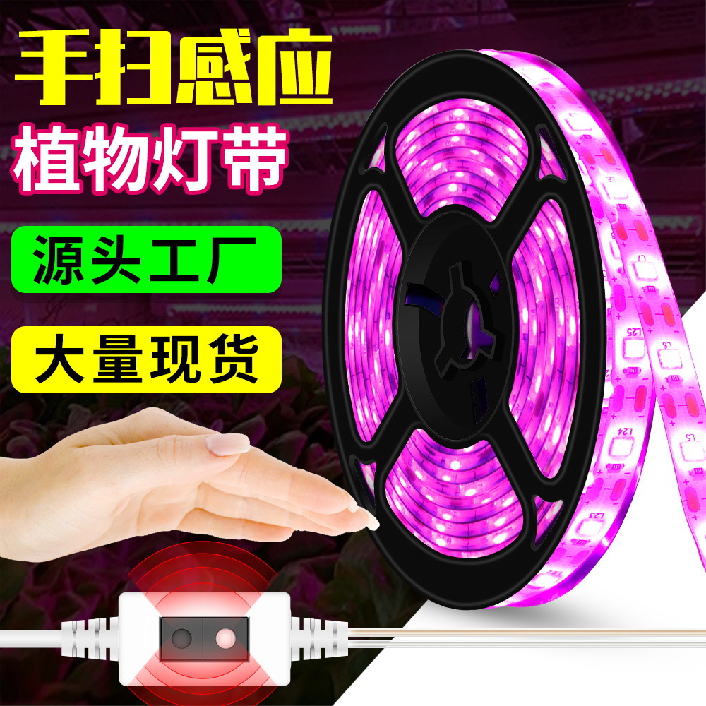 Qianrun Lighting Plant fill light USB hand sweep induction cultivation plant light with LED Full Spectrum growth light fleshy