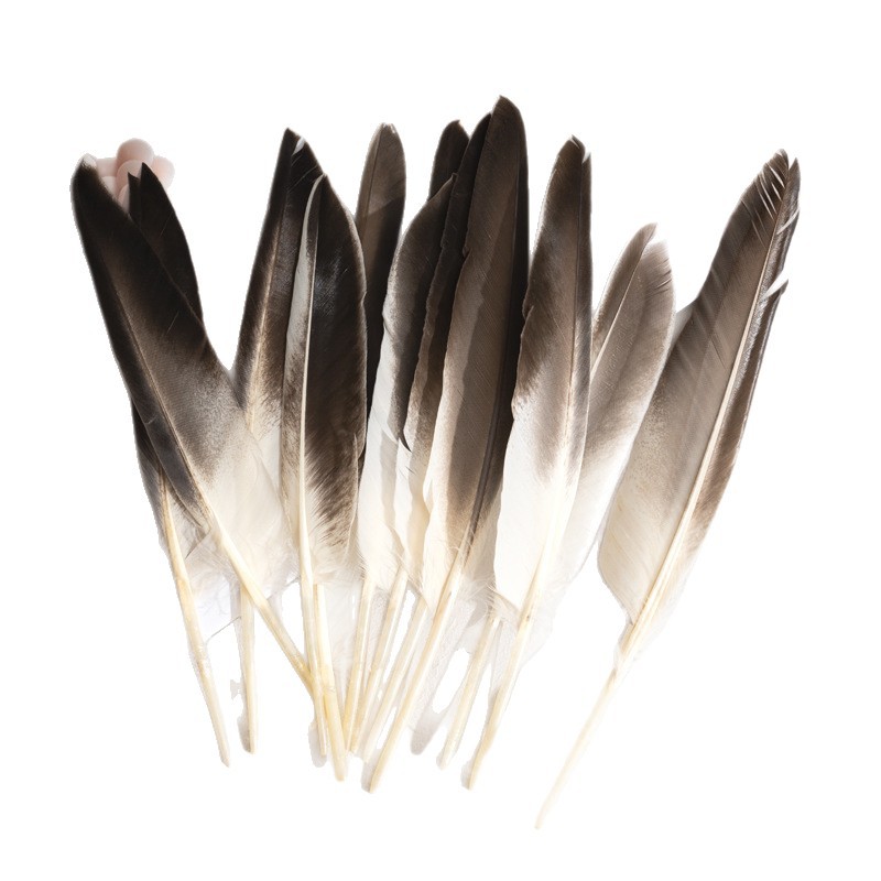 Picture of Feather Factory Wholesale Colorfulful Duck Feathers Hard Real Duck Feather Feather Pen Devil Wings DIY Handmade Materials