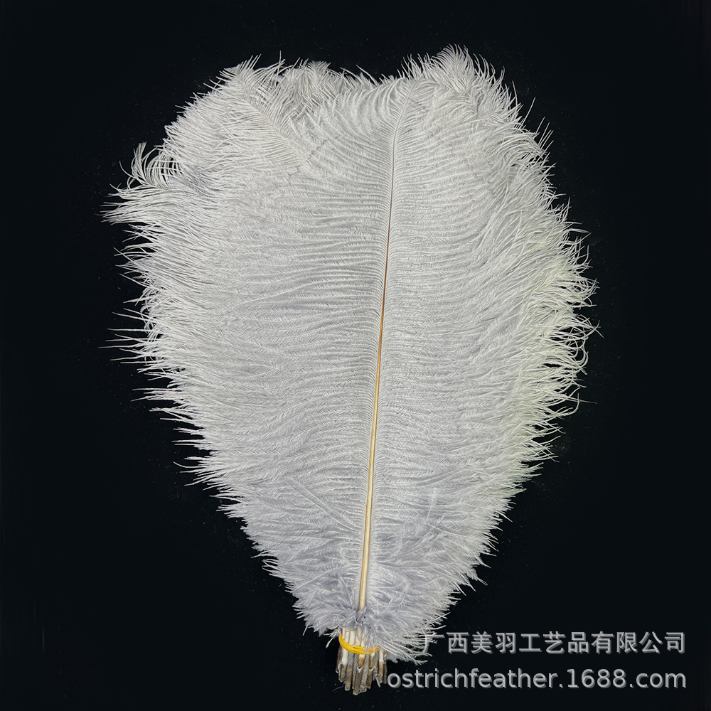 Picture of 35-40cm Ostrich Feather Wholesale Manufacturer Spot Wedding Decoration Feather DIY Crafts Stage Clothing Ostrich Feather