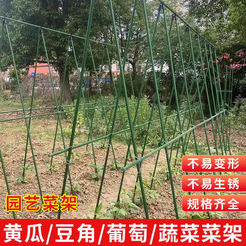Rope Climbing Frame Vegetable Rack Cucumber Courtyard Grape Frame Plastic-Coated Steel Pipe Plant Support Outdoor Climbing Frame Iron