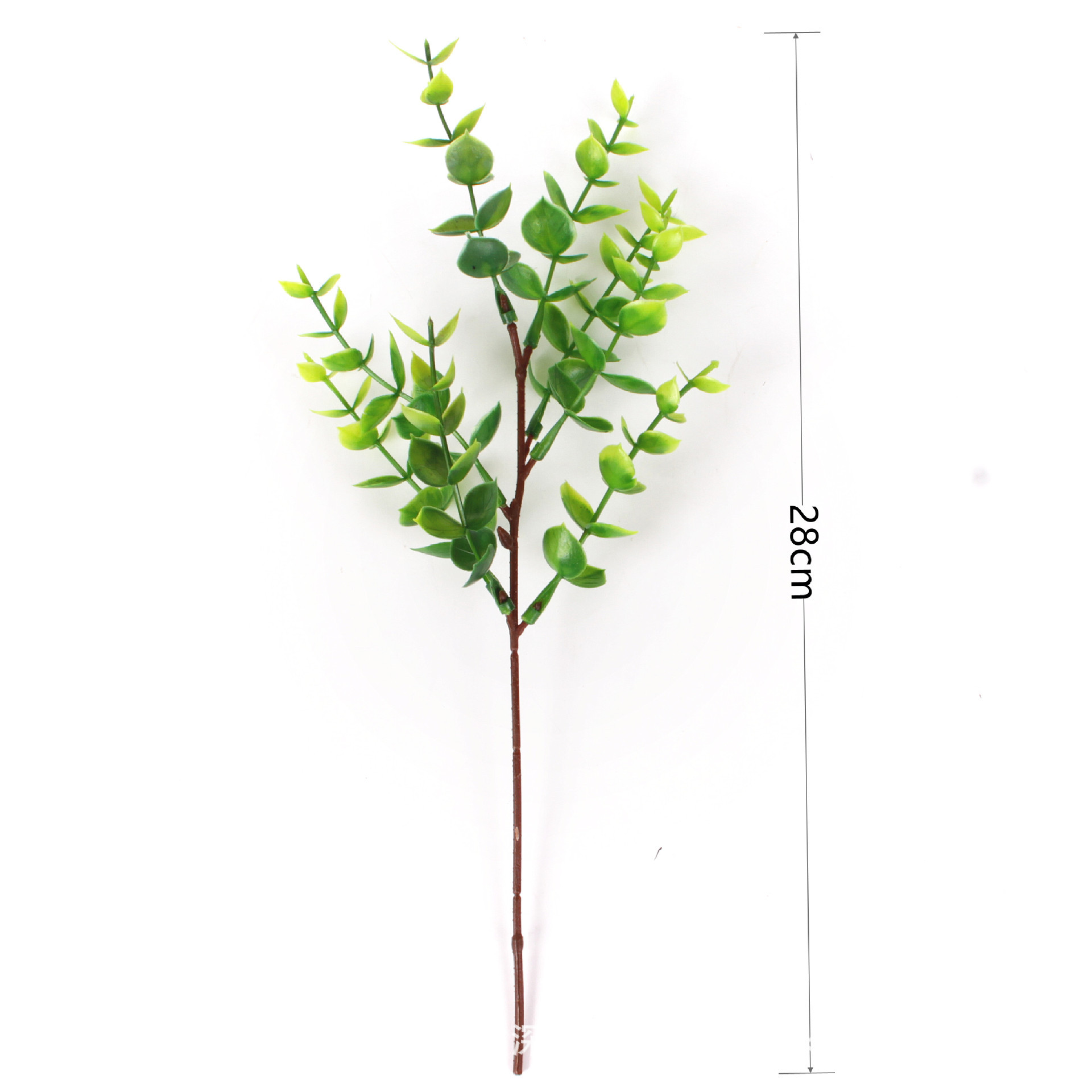 Picture of Amazon Cross-Border Artificial Flower Artificial Eucalyptus Leaf Stem Short Silver Dollar Branch Decorative Leaf Simulated Green Plant Plastic Leaf