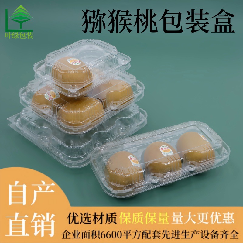 Plastic Packaging Box Disposable Kiwi Fruit 4 Kiwi Fruit Preservation Box Transparent Fruit Box Lemon Packing Box