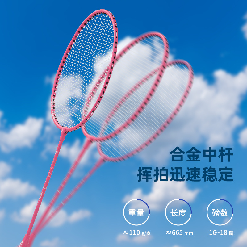 Picture of deli deli FH101 angnet badminton racket primary fitness training grade iron split double Racket Racket Set