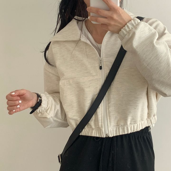 Picture of ins Super Hot Zipper Cardigan Sweatshirt Women's Spring Autumn and Winter Thin Coat Korean Fashionable Student Loose Fleece-lined Top