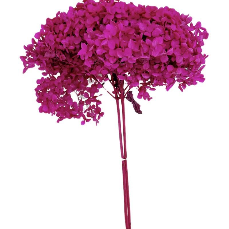 Hydrangea flower eternal flower bouquet wholesale Anna small leaf hydrangea wedding decoration flower furniture living room layout material