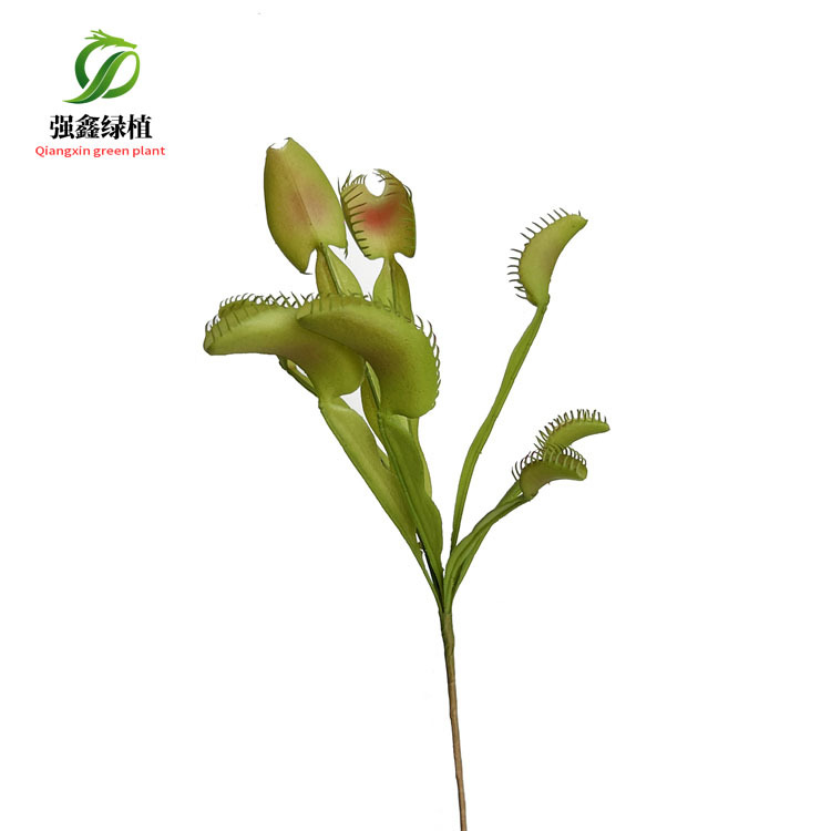Picture of Artificial succulent Cordyceps simulation fly-eating grass people stay small bonsai decorative AliExpress Amazon supply