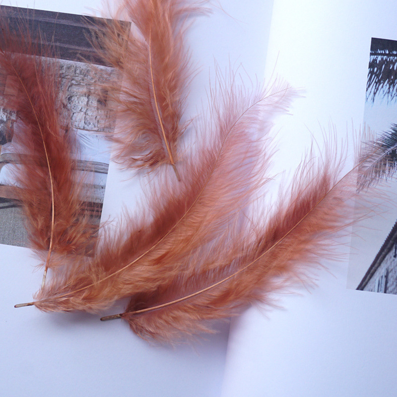 Picture of Colorful Turkey Hair Pointed Tail Velvet Dream Catcher Material Wave Ball Gift Box Filler Shooting Props Feather Decoration