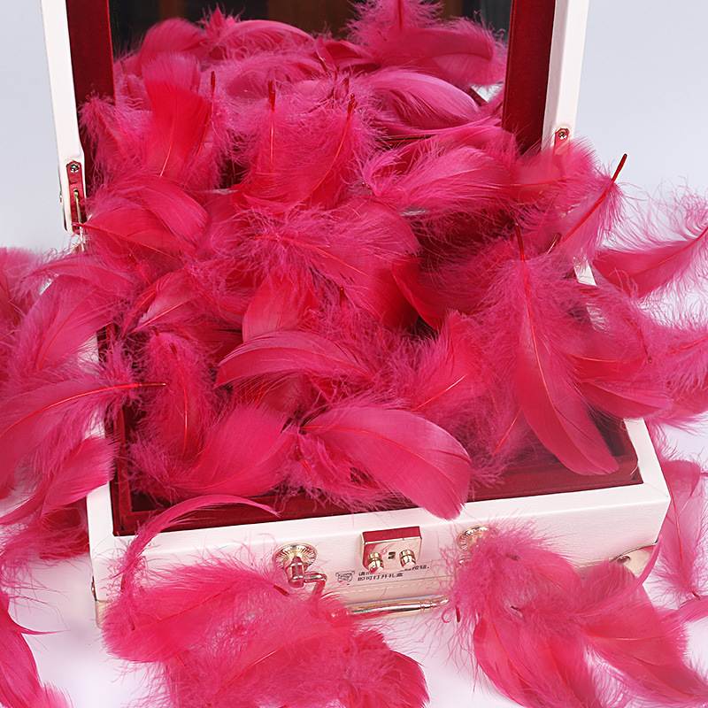 Picture of Special offer about 100 colored small floating feathers goose feather diy jewelry festival scene decoration filler feathers