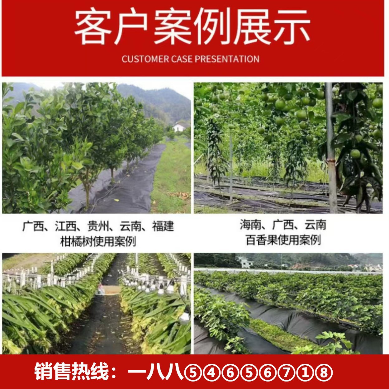Picture of Cross-border production of polypropylene polypropylene non-woven fabrics for agricultural insulation and grass prevention industrial packaging engineering interlayer lining