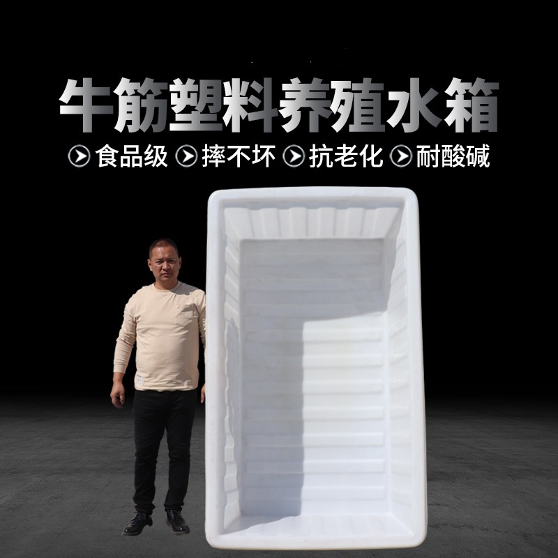 Plastic shallow basin large water tank pe beef tendon square box aquatic breeding box acid and alkali resistant fish farming box shrimp seedling pot storage bucket