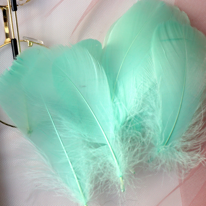 Picture of Color feather DIY floating dyeing goose feather dream catcher wave ball gift box filling decorative materials wholesale