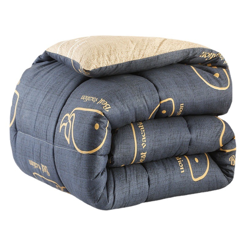 Nantong Home Textiles Quilt Winter Quilt Quilt Home Quilt Core Air Conditioning Quilt Student Four Seasons Neutral Spring and Autumn Quilt Thickened and Warm