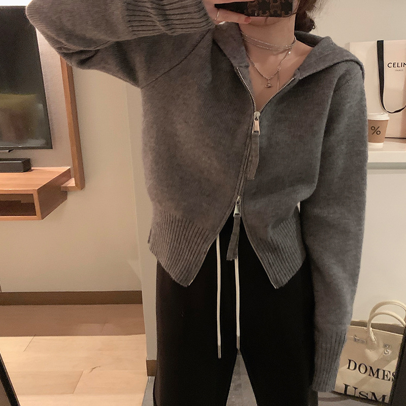 Knitted Cardigan Women's Autumn and Winter 2024 New Design Sense Slim Hooded Double Zipper Spring and Autumn Short Sweater Jacket