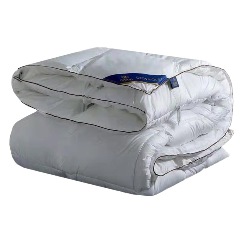 One-Piece Drop Shipping Feather Velvet Quilt Hotel Thickened 4kg Winter Quilt Silk Cotton Gift Quilt Homestay Spring and Autumn Double Quilt
