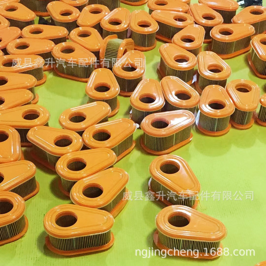 Factory Wholesale Garden Filter Element Xs-98 795066 796254 775Ex 775 800 850 875