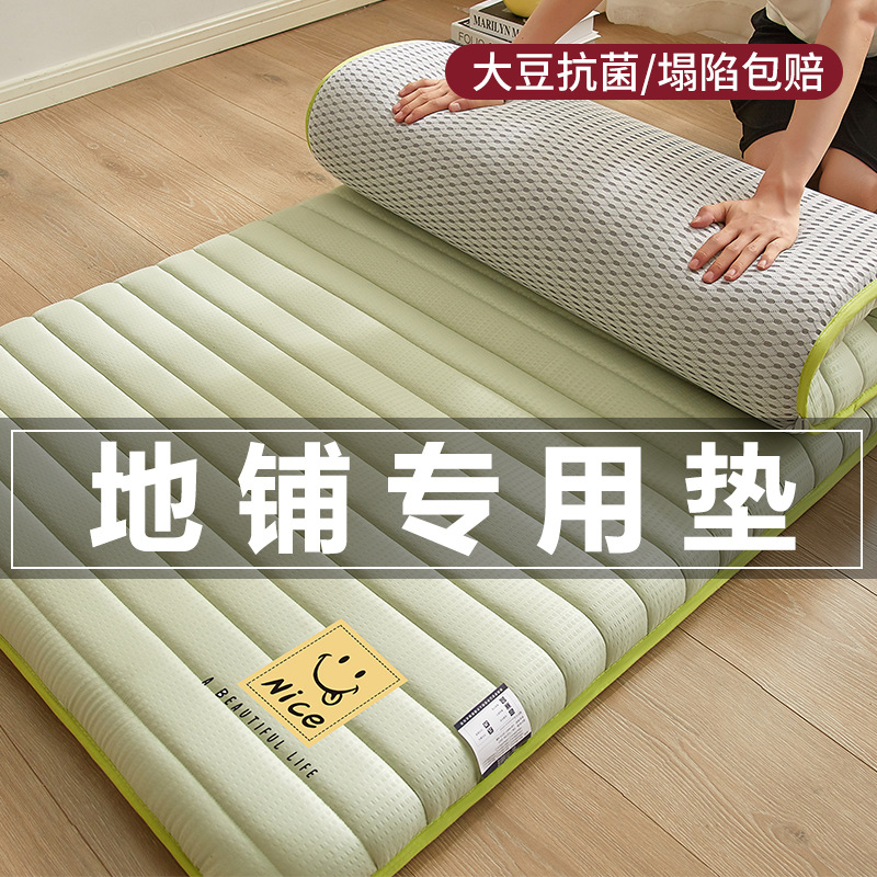 Y * J Mattress Cushion Floor Mat Sleeping Mat Home Foldable Moisture-proof Floor Mat Floor Mat Single and Double Rental