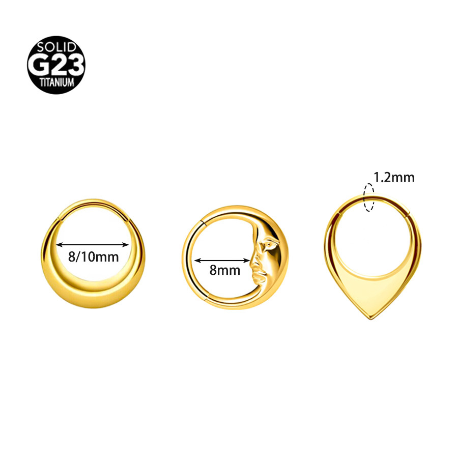 Picture of Cross-border explosions G23 titanium face triangle nose ring earrings 316 seamless nose ring ear ring body piercing jewelry