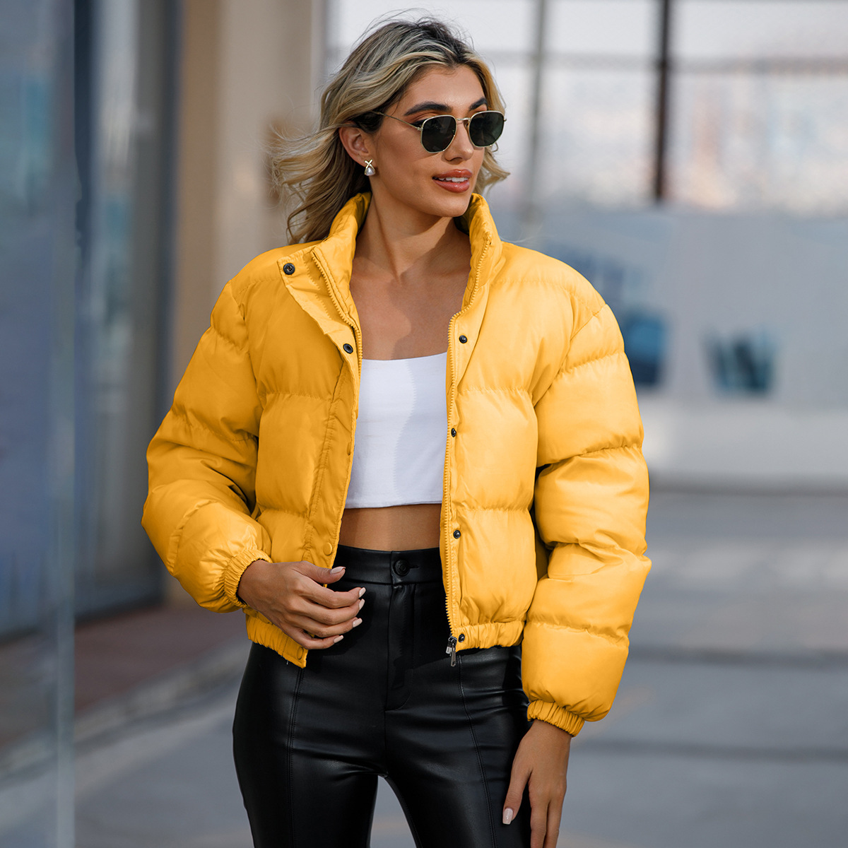 Picture of Cotton-padded clothes Russian cotton-padded jacket Women's Elegant Short Street Photography Autumn and Winter High Collar