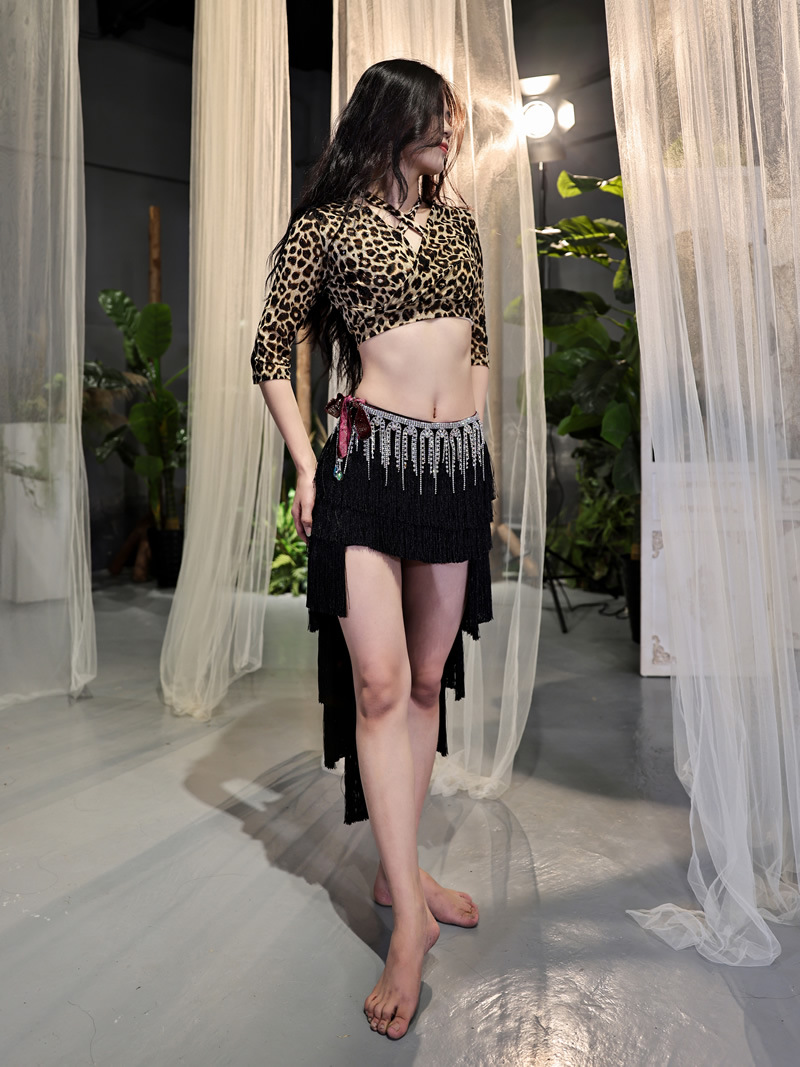 Dancer Belly Dance Latin Fusion Underwear Practice Dress Sexy Encrypted Tassel Skirt S265 Q3110