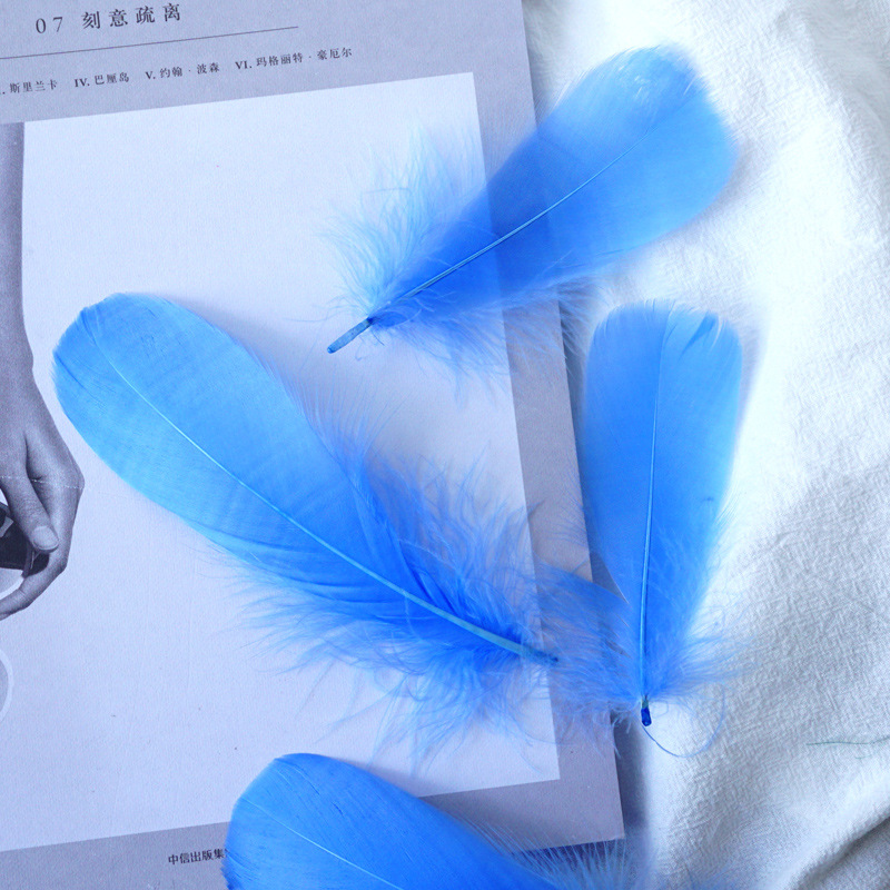 Picture of Macaron color feather decoration goose feather large and medium floating dream catcher gift box filled bouquet diy handmade material