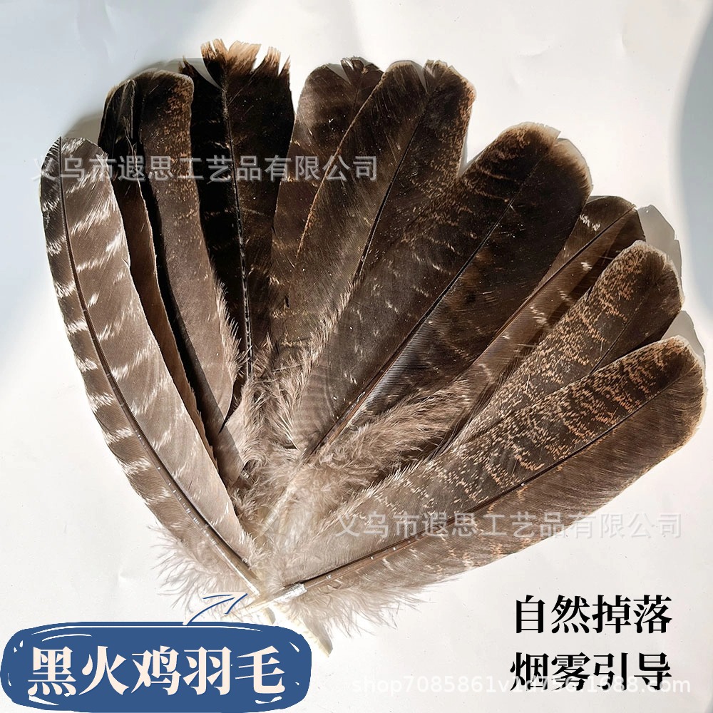 Black turkey feather white sage holy wood cleaning burning smoke purifying smoke guiding tool ritual wind element