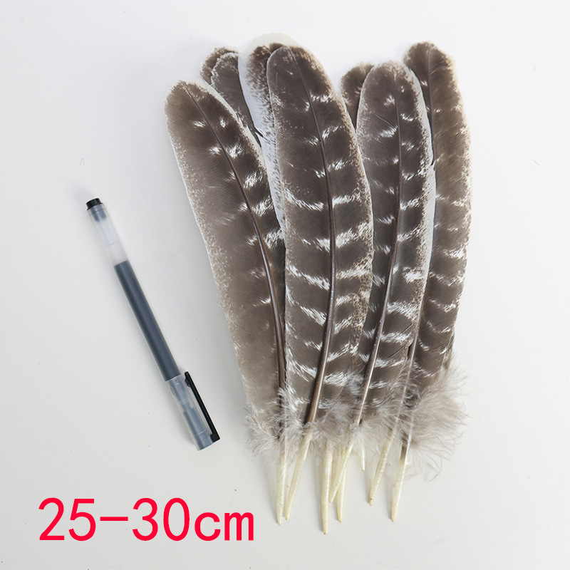 Picture of Wholesale natural striped flower chicken nest feather feather feather DIY craft jewelry decoration handmade accessories material turkey feather