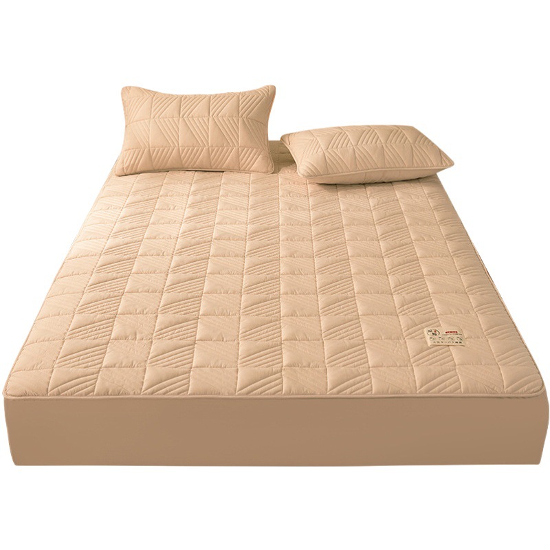 Class A Raw Cotton Thickened Antibacterial Bed Cover Non-slip Mattress Protective Cover Skin-friendly Dust-proof Bed Cover Mat Factory Wholesale
