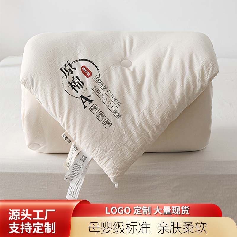 Class A Raw Cotton Soybean Fiber Quilt Spring and Autumn Quilt Student Dormitory Summer Cool Quilt Activity Gift Quilt Thickened Winter Quilt Core