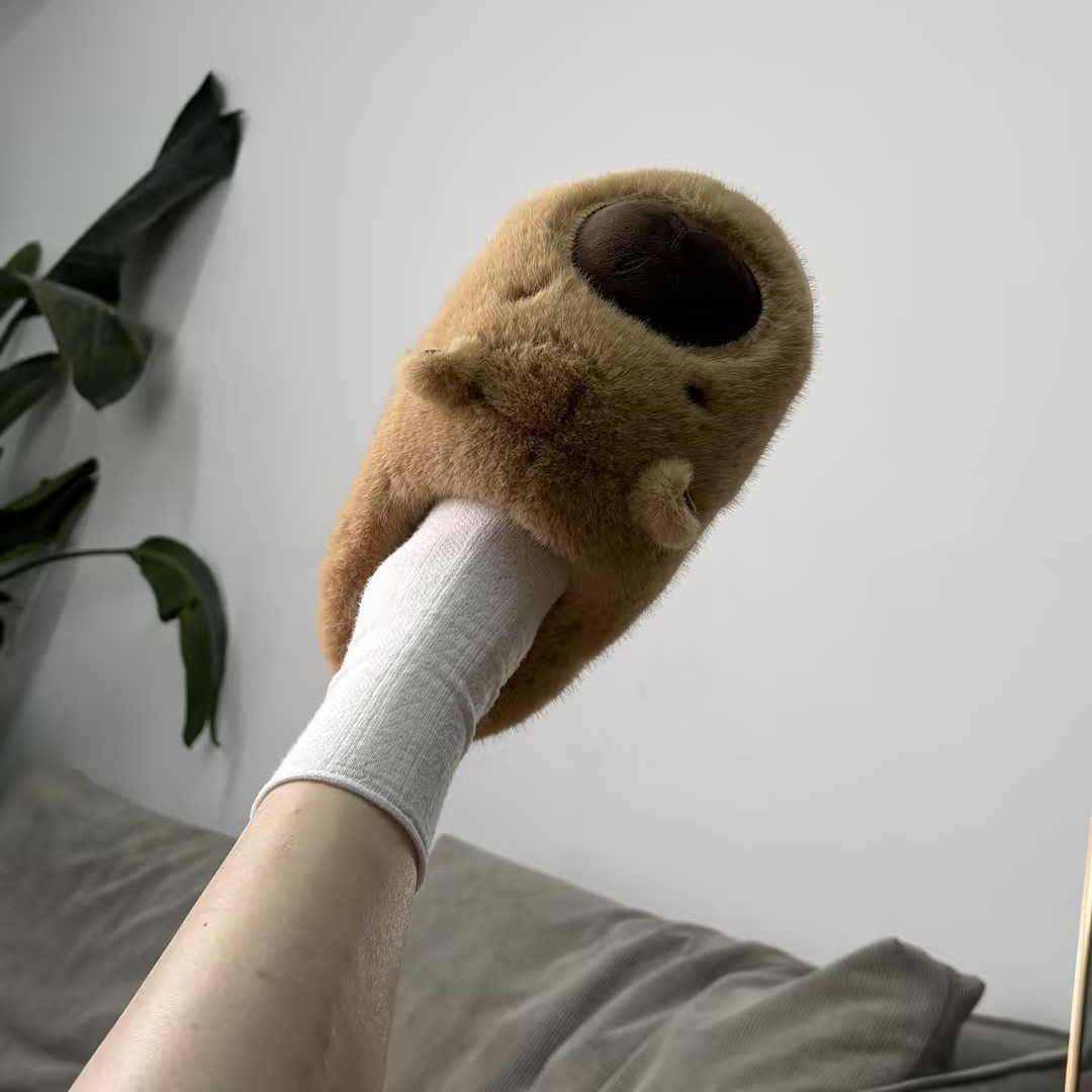 25 years ugly cute capybara cotton slippers women's autumn and winter home fur slippers indoor home plush cotton shoes