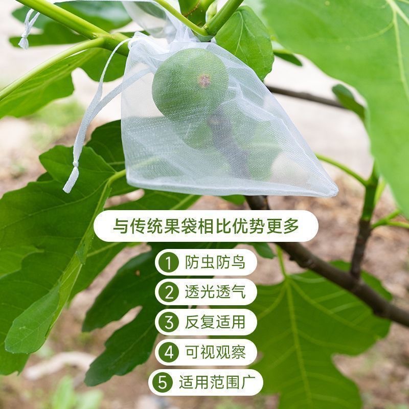 Picture of Fruit Cover Insect-proof Bag Grape Flossless Loquat Mesh Bag Non-woven Anti-bird Melon Fruit Peach Strawberry Bagging Universal Bag