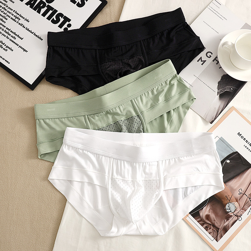 Bamboo fiber men's sexy underwear triangle breathable mesh U convex bag young boys underwear briefs wholesale