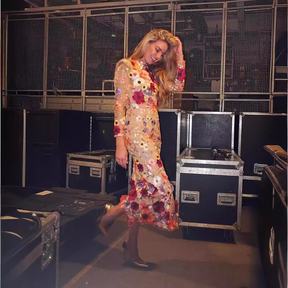 Picture of 25 Cross-Border European and American Spring and Summer Round Neck Colorfulful Stereo Flower Embroider Mesh Slim Hip-Hugging Fishtail Dress Long Skirt
