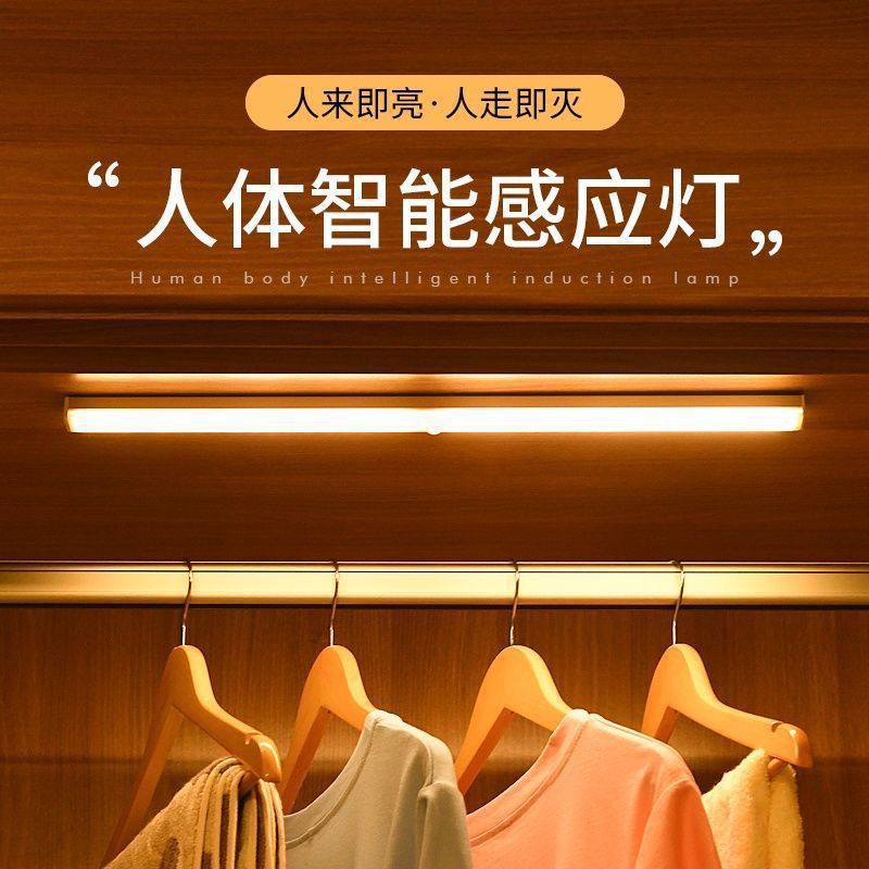 Led Cabinet Light Ultra-Thin Charging Smart Human Body Sensor Wardrobe Wine Cabinet Light Strip Led Light Panel Magnetic Cross-Border E-Commerce