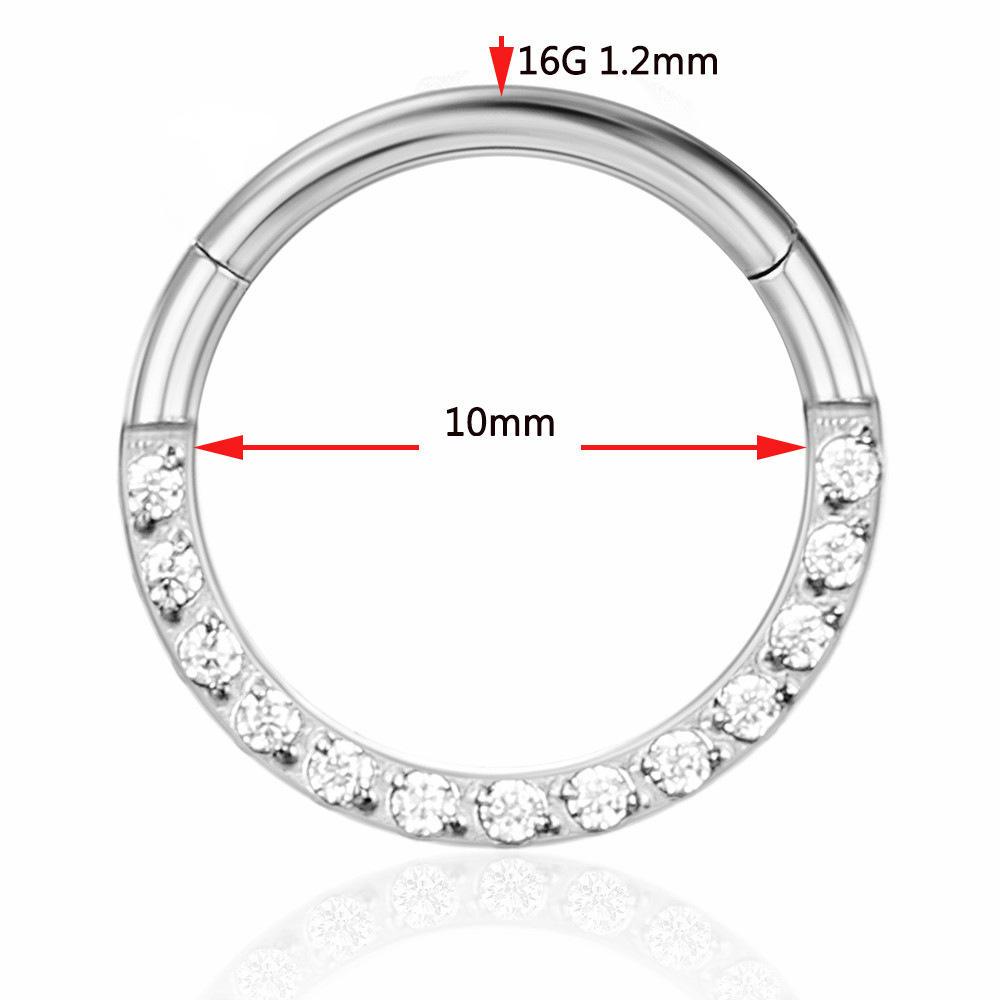 Picture of CNC factory 316L stainless steel puncture jewelry zircon ring closed ring seamless nose ring multifunctional cartilage earrings