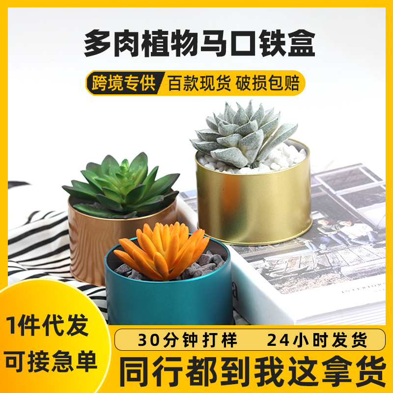 In-Stock 90*60 Round Tinplate Cans, Metal Cans for Planting Flowers and Plants, Custom Iron Box Packaging for Succulent Storage