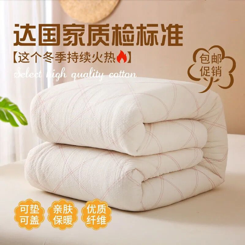 Picture of Single quilt quilt double bed quilt core dormitory bedding winter quilt winter wholesale hot