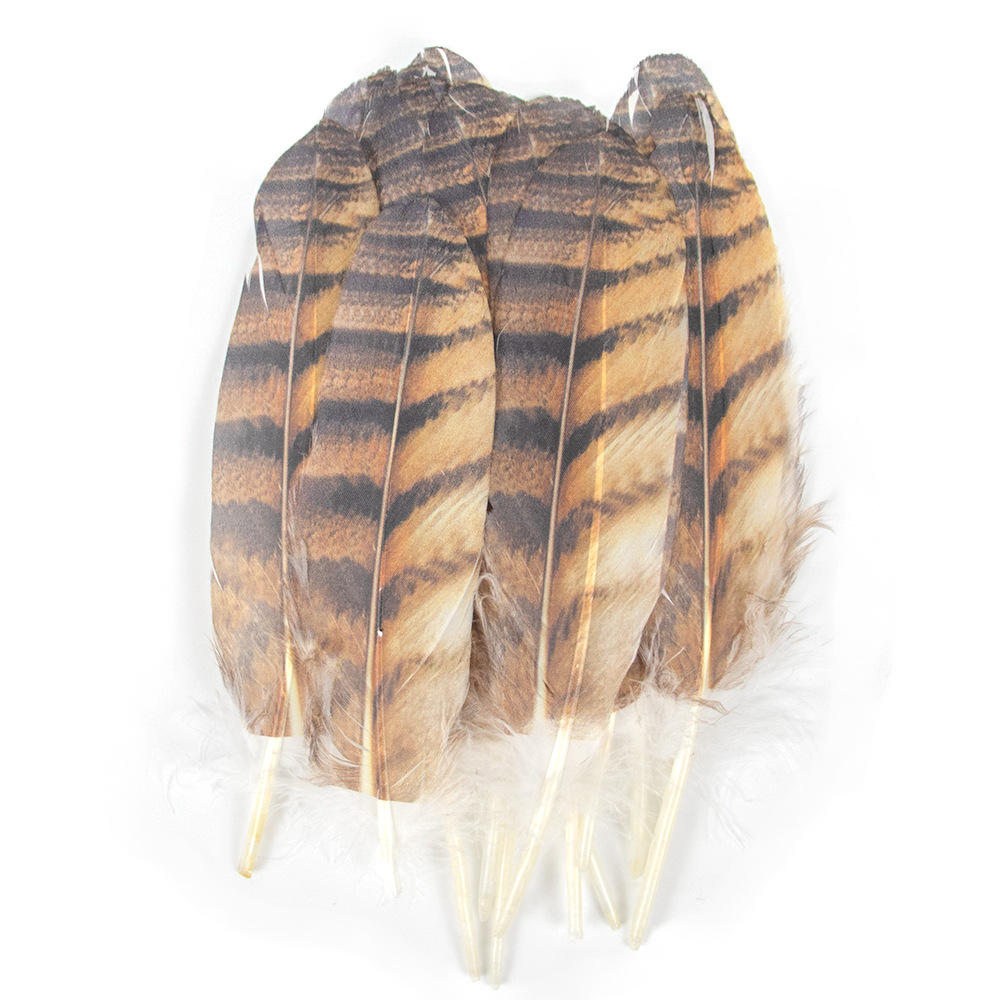 Manufacturer's spot printed large floating feathers 10 pieces set