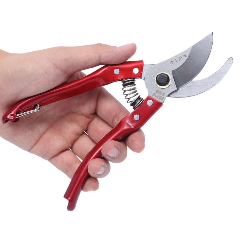 Factory in stock Home Greening Pruning Tools Fruit Tree Fruit Picking Shears Garden Shears Garden Shears Fruit Branch Shears Pruning Shears