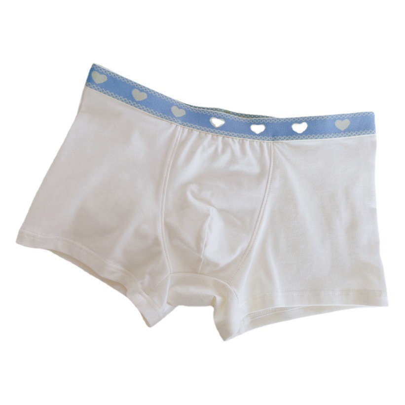 Couple's underwear cotton cute comfortable sheath breathable Western style lovely women's new briefs men's boxer wholesale