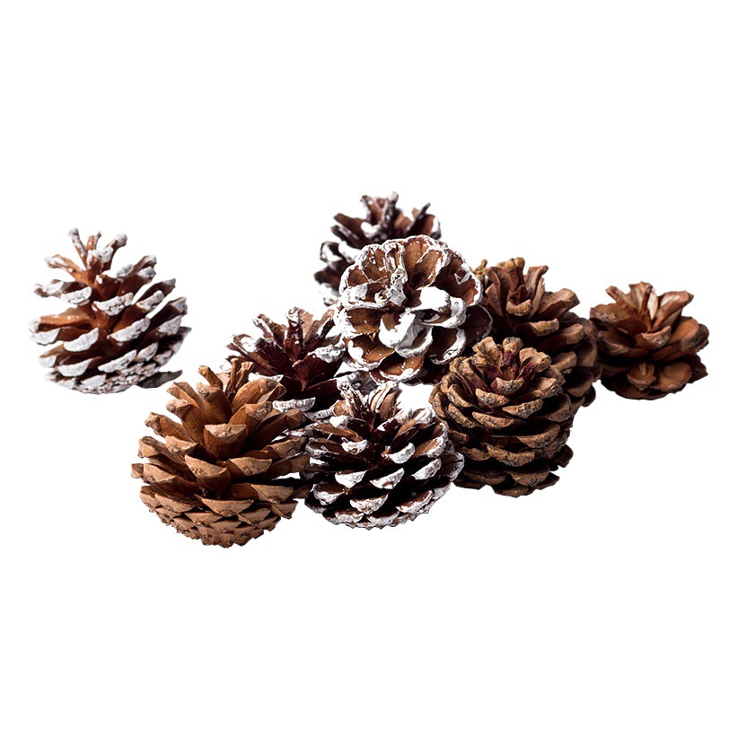 Pine Cone Jewelry Wild Pine Tower New Year Decoration Ornaments Kindergarten Handmade DIY Material Natural Dried Flower Ball