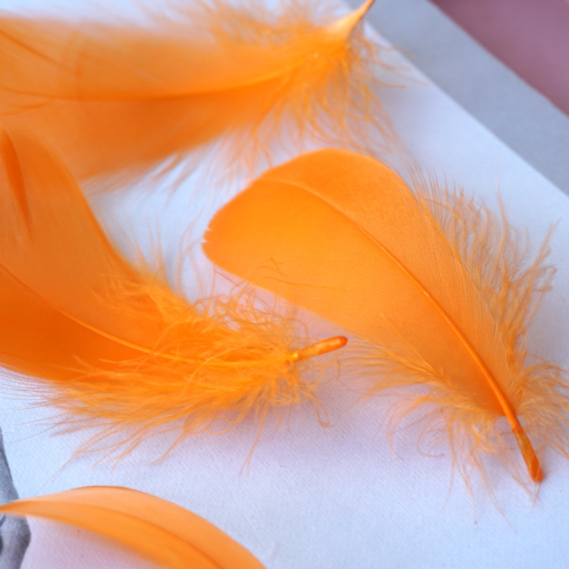 Picture of Color feather DIY floating dyeing goose feather dream catcher wave ball gift box filling decorative materials wholesale