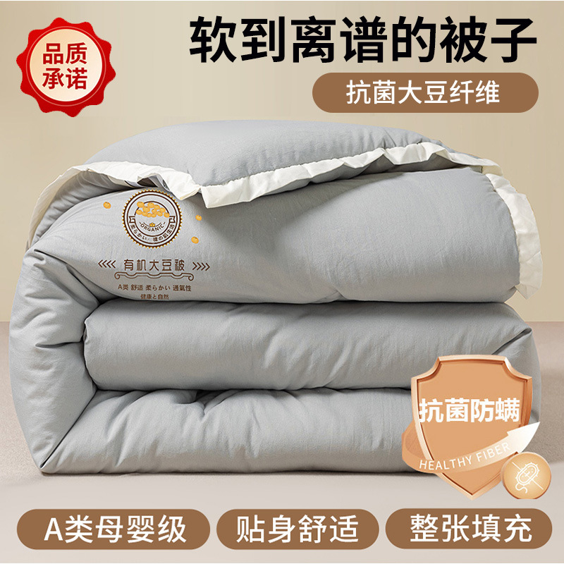 Picture of Soybean Fiber Quilt Winter Quilt Thickened Warm Winter Quilt Core Quilt Autumn Winter Quilt Spring and Autumn Quilt Single Winter