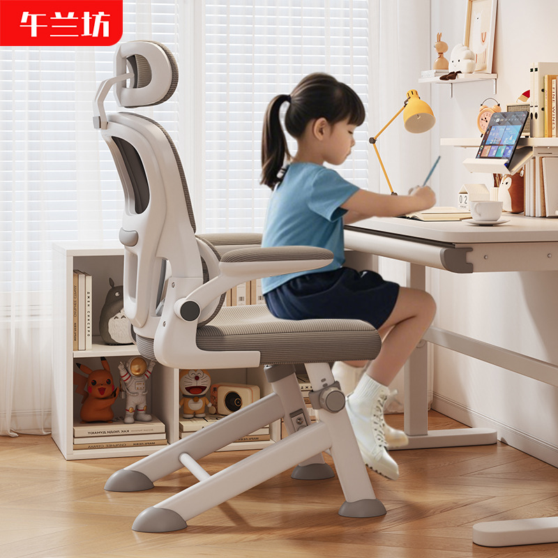 Children's study chair, student chair, teen adjustable chair, household writing chair, adjustable desk and computer chair