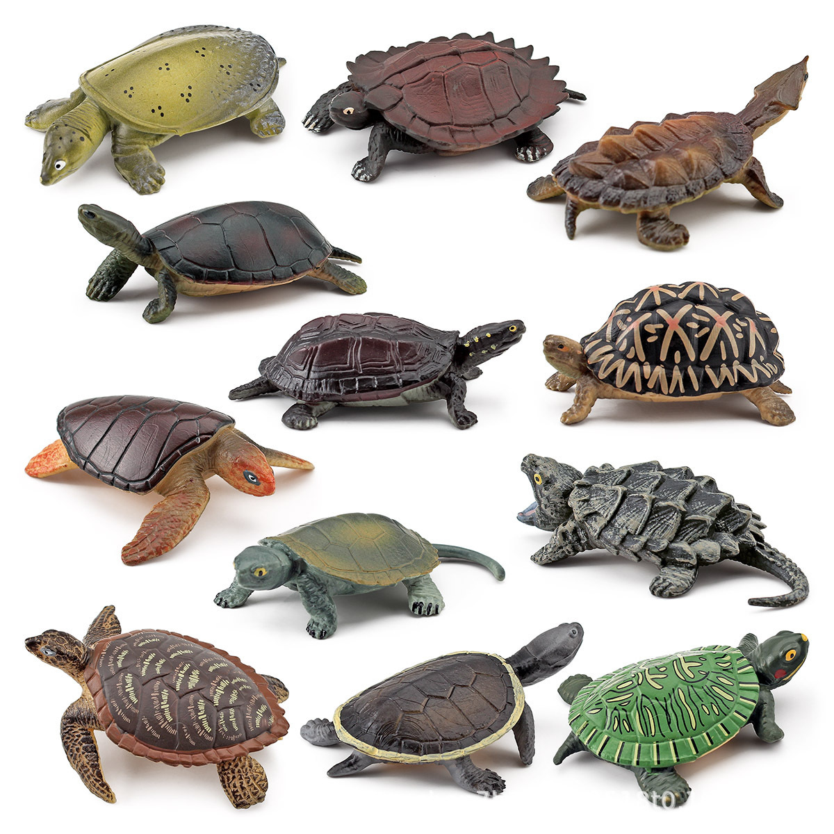 Cross-border simulation amphibian reptile turtle model real crocodile turtle grass turtle aquatic turtle Chinese soft-shelled turtle ornaments toy