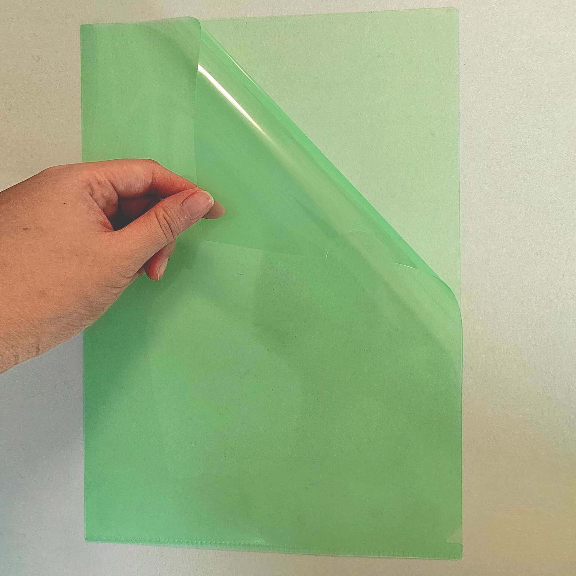 Picture of a4 a5 single-page folder wholesale pp plastic transparent color office folder printable logo