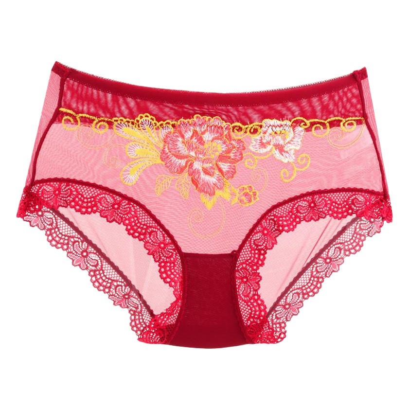 New Embroidered Sexy Women's Briefs Lace Transparent Mesh Cotton Low Waist Large Size Seamless Underwear 899