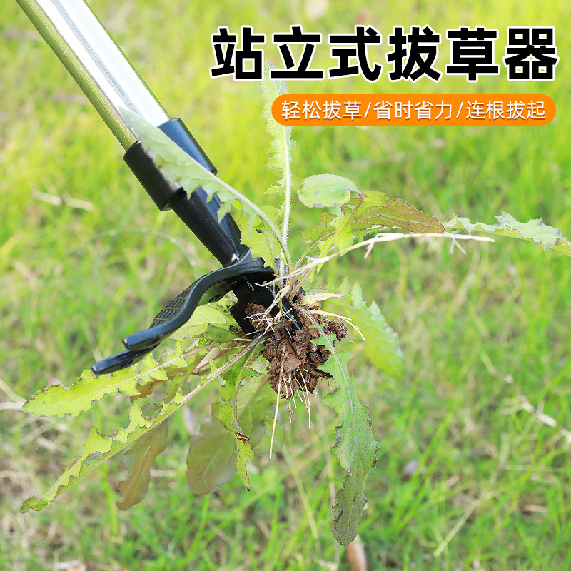 Amazon Weeder No-Bend Manual Garden Tool Root Puller Detachable Garden Weeding Head Wholesale