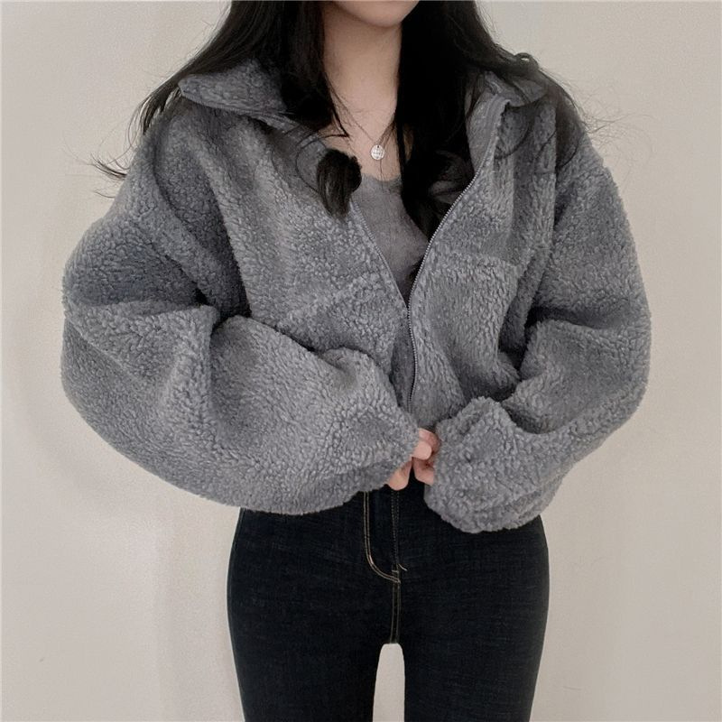 Korean Style Short Vertical Collar Warm Imitation Lamb Velvet Jacket Women's Autumn and Winter New Loose Zipper Cardigan Top